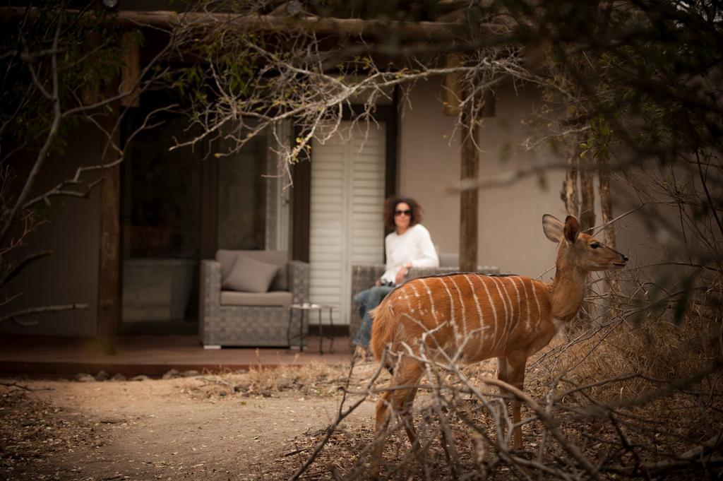 Moditlo River Lodge Hoedspruit Exterior photo